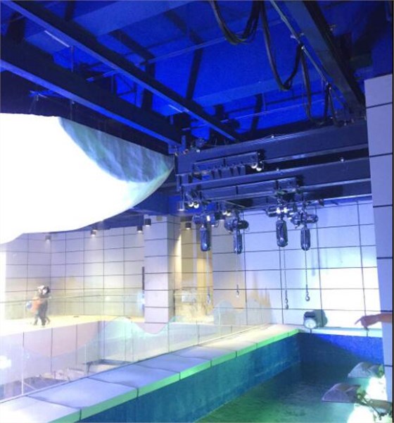 鯊魚館用豪鋼單梁起重機