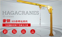 BZD型懸臂吊