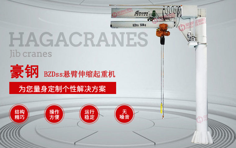 BZDss懸臂伸縮起重機